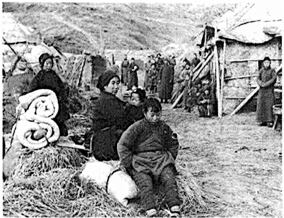 Word Cloud - With Text